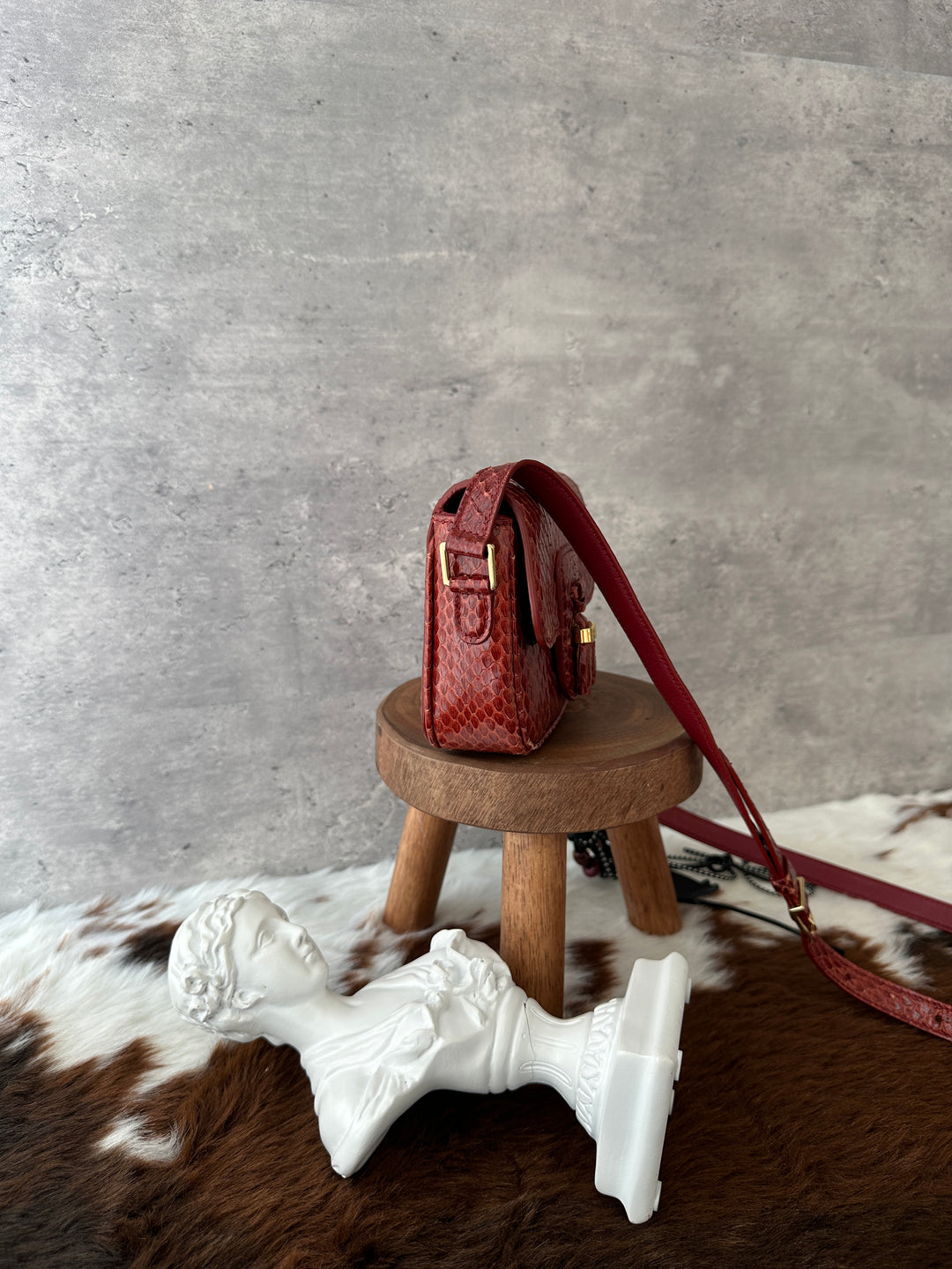 Celine Python Mini Crossbody ❤️✨｜Burgundy Python × Vintage Tassel Detail × Compact Silhouette