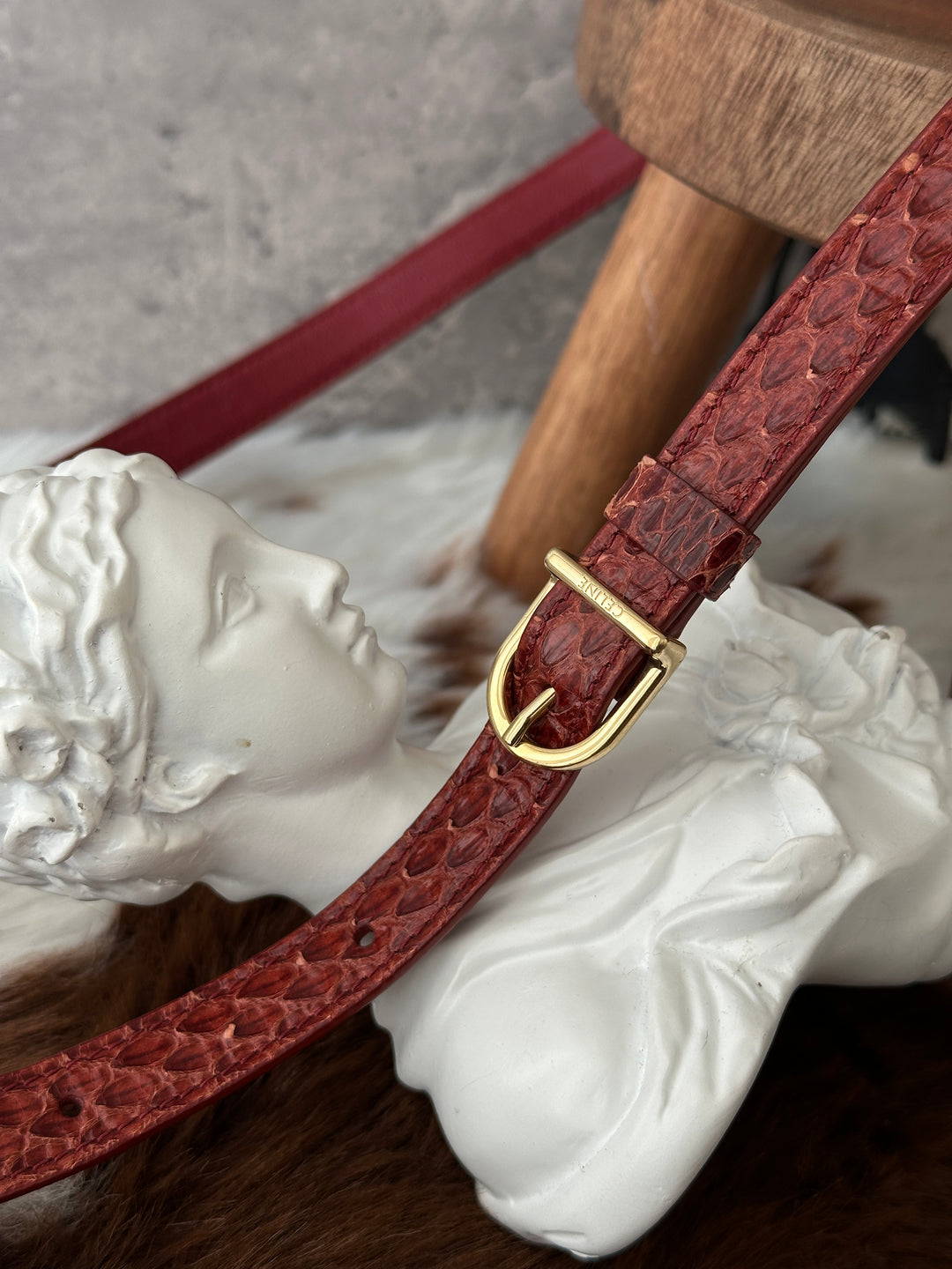 Celine Python Mini Crossbody ❤️✨｜Burgundy Python × Vintage Tassel Detail × Compact Silhouette