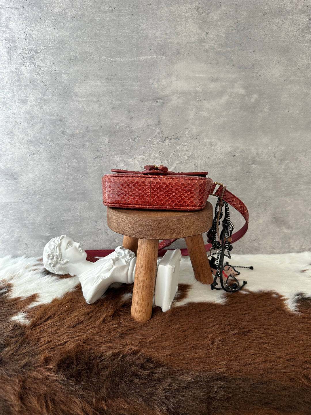 Celine Python Mini Crossbody ❤️✨｜Burgundy Python × Vintage Tassel Detail × Compact Silhouette