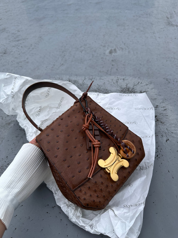CELINE Vintage Triomphe Ostrich Bag – Rare Edition with Oversized "Bone" Charm + Strap