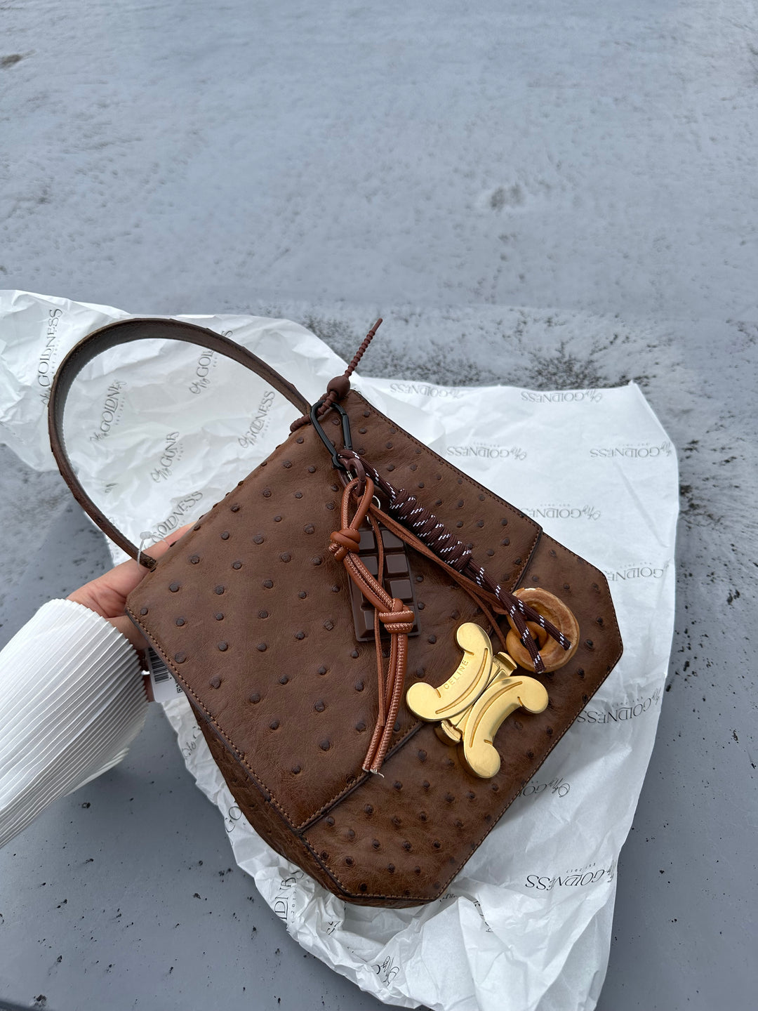 CELINE Vintage Triomphe Ostrich Bag – Rare Edition with Oversized "Bone" Charm + Strap