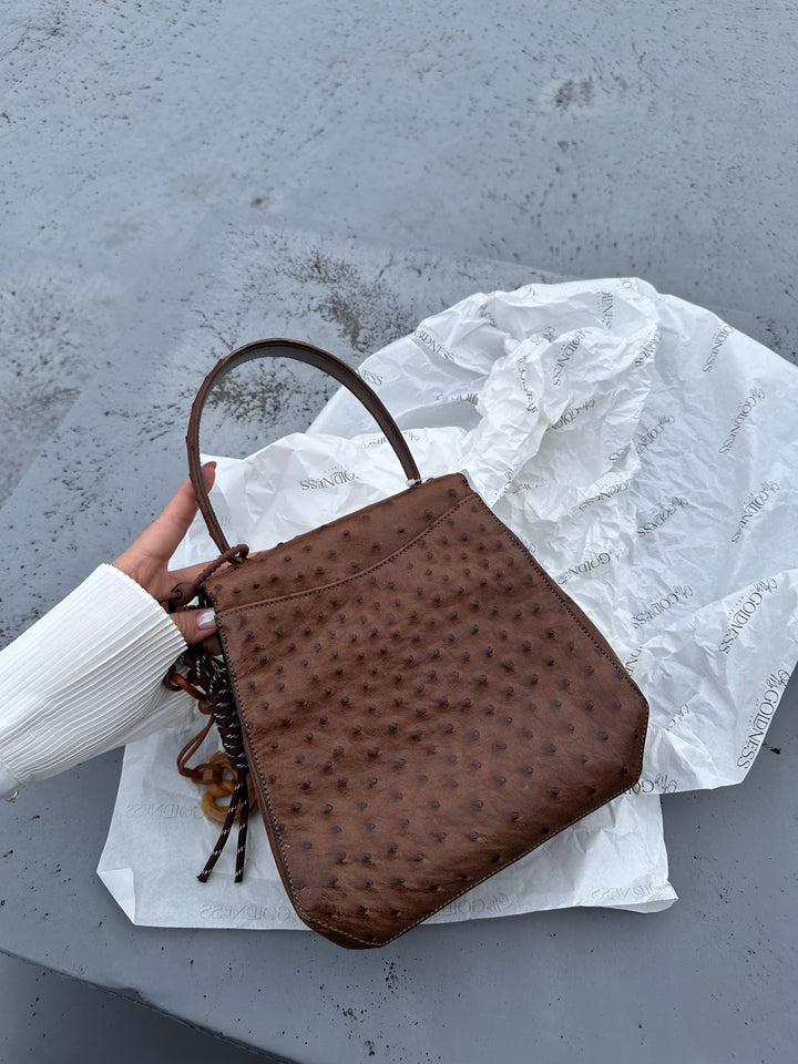 CELINE Vintage Triomphe Ostrich Bag – Rare Edition with Oversized "Bone" Charm + Strap