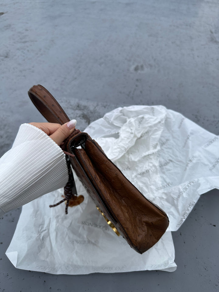 CELINE Vintage Triomphe Ostrich Bag – Rare Edition with Oversized "Bone" Charm + Strap
