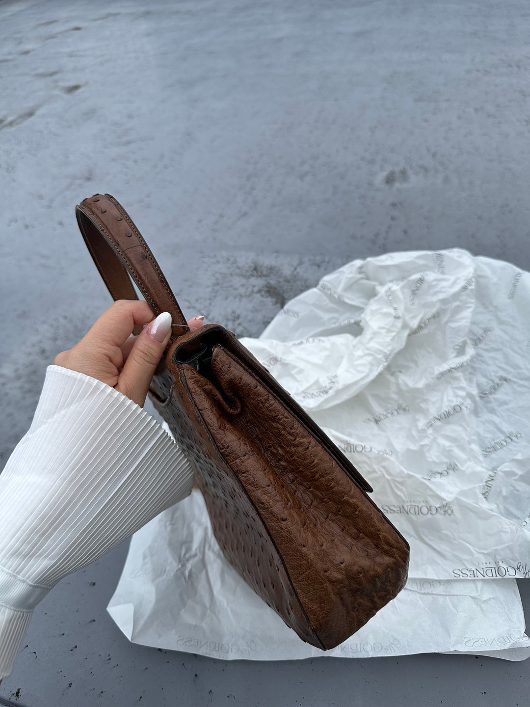 CELINE Vintage Triomphe Ostrich Bag – Rare Edition with Oversized "Bone" Charm + Strap