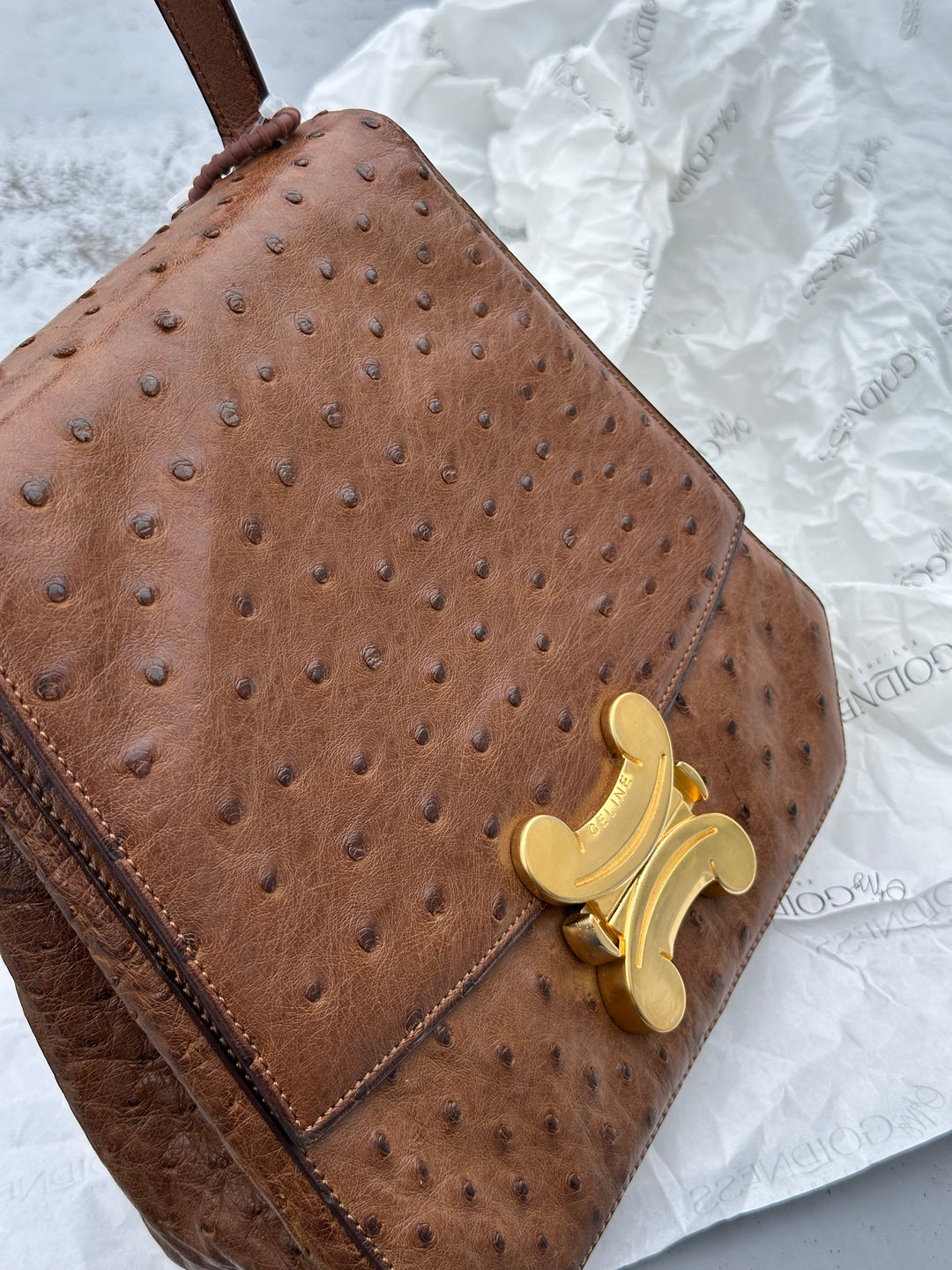 CELINE Vintage Triomphe Ostrich Bag – Rare Edition with Oversized "Bone" Charm + Strap
