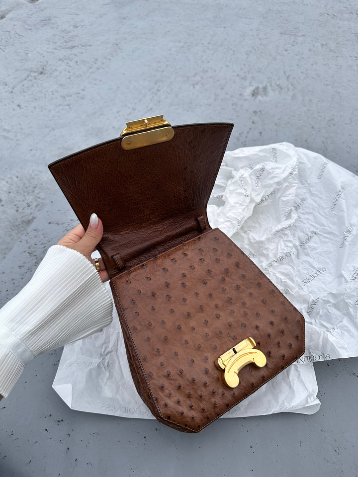 CELINE Vintage Triomphe Ostrich Bag – Rare Edition with Oversized "Bone" Charm + Strap