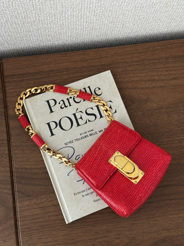 LOEWE Lizard Skin Mini Bag – Red with Gold Lock ❤️✨