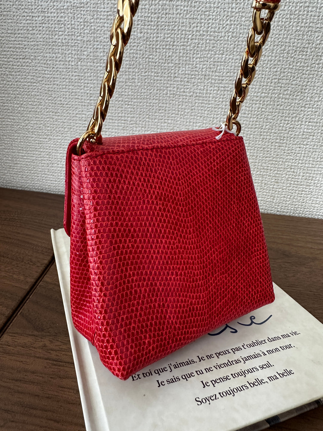 LOEWE Lizard Skin Mini Bag – Red with Gold Lock ❤️✨