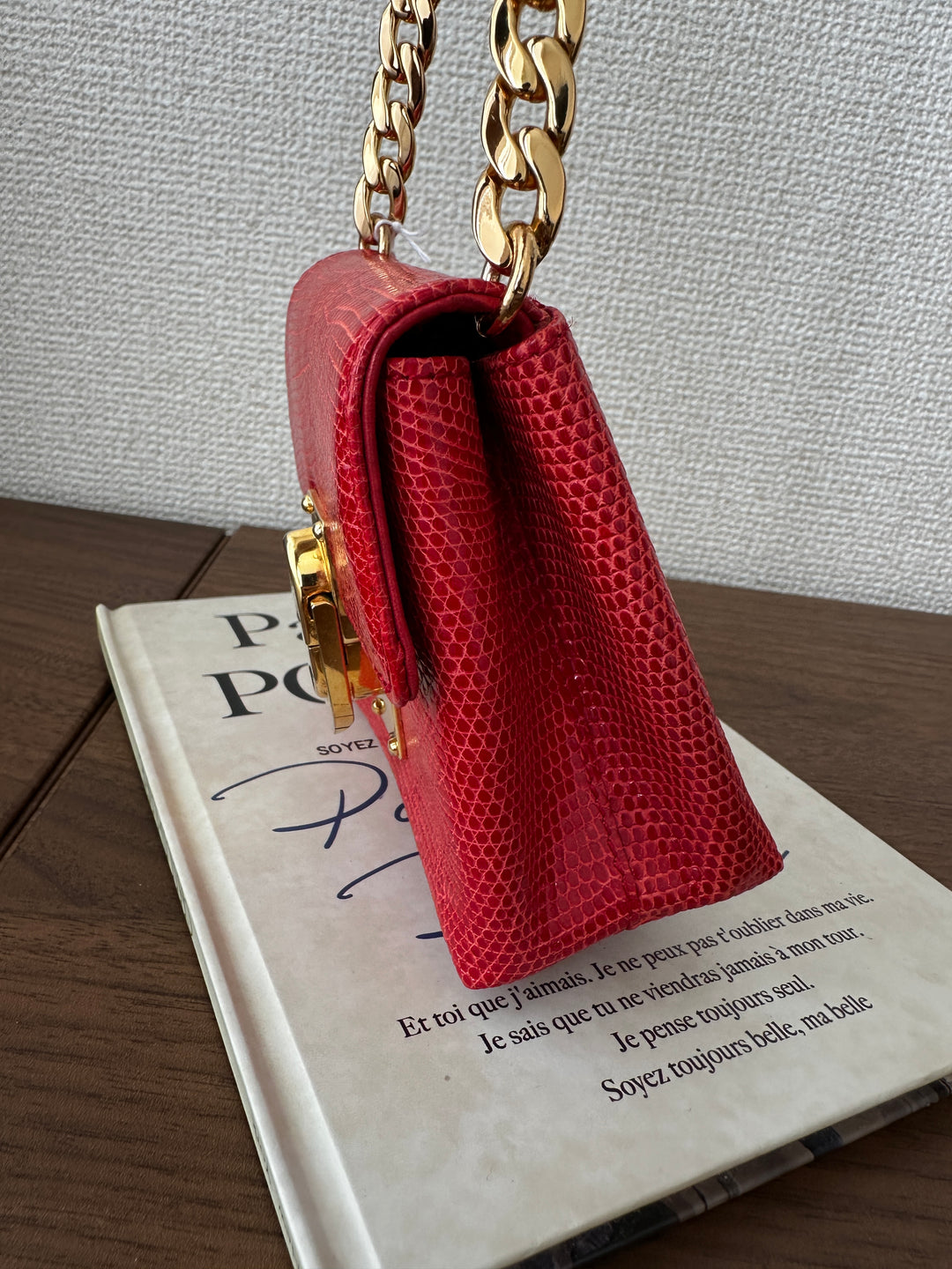LOEWE Lizard Skin Mini Bag – Red with Gold Lock ❤️✨