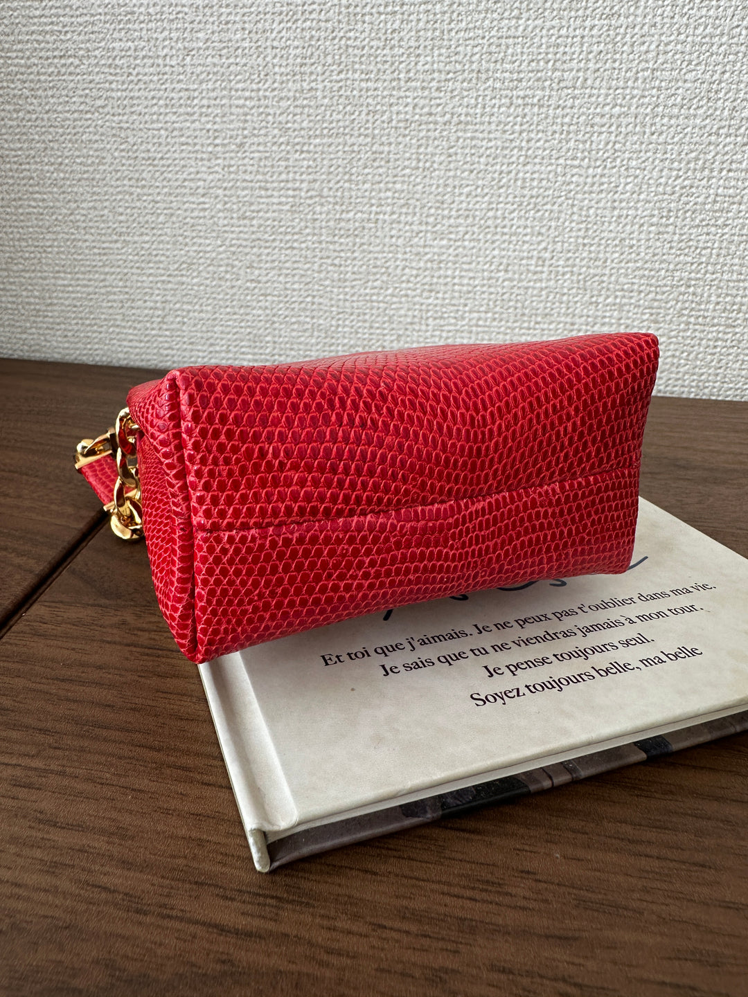 LOEWE Lizard Skin Mini Bag – Red with Gold Lock ❤️✨