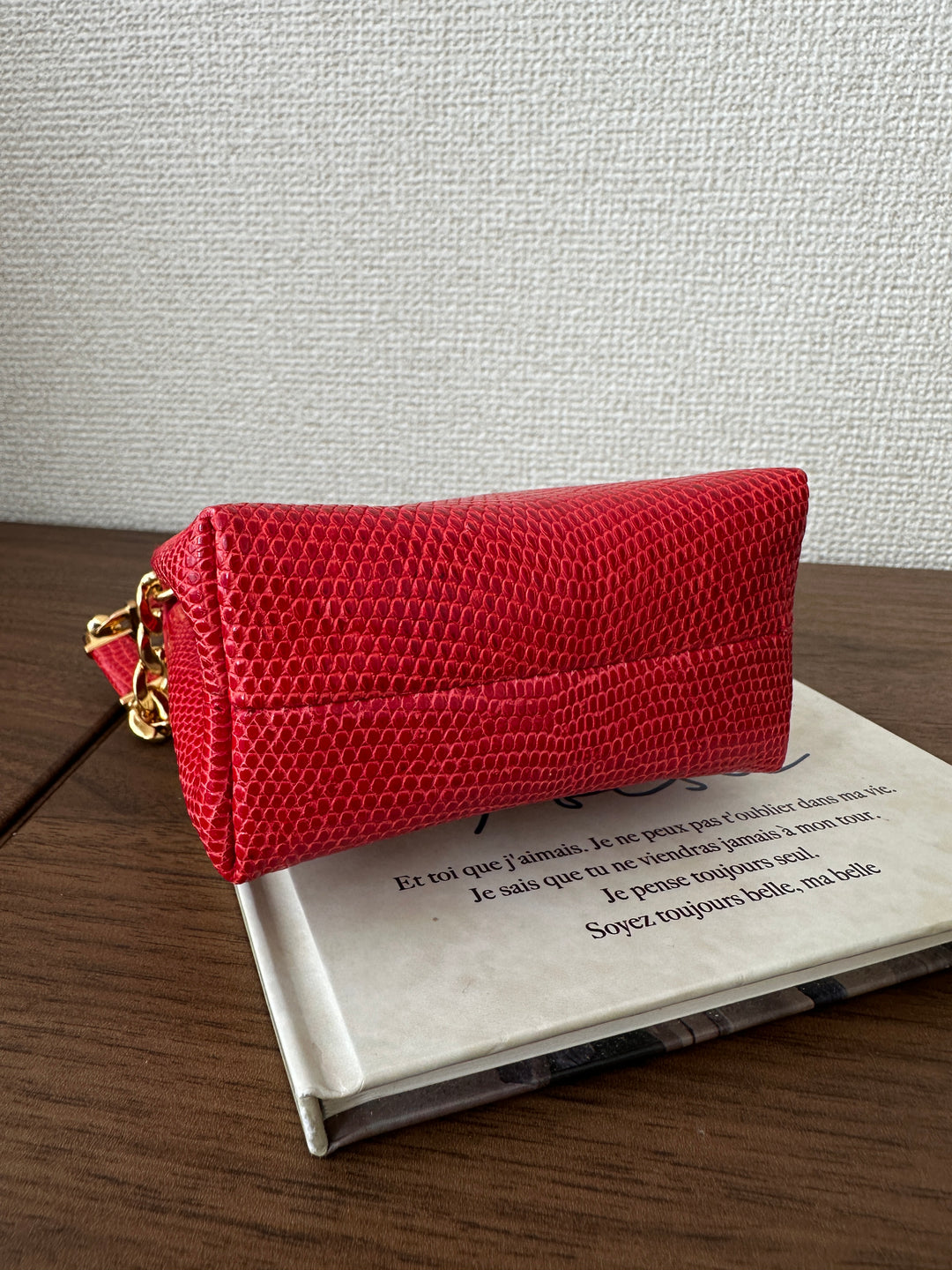 LOEWE Lizard Skin Mini Bag – Red with Gold Lock ❤️✨