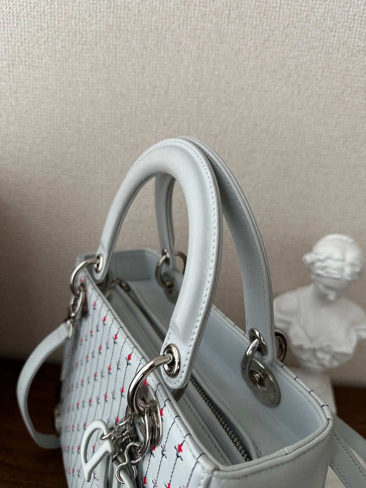 Dior Lady Dior Embroidered Limited Edition – Full Set 🤍✨