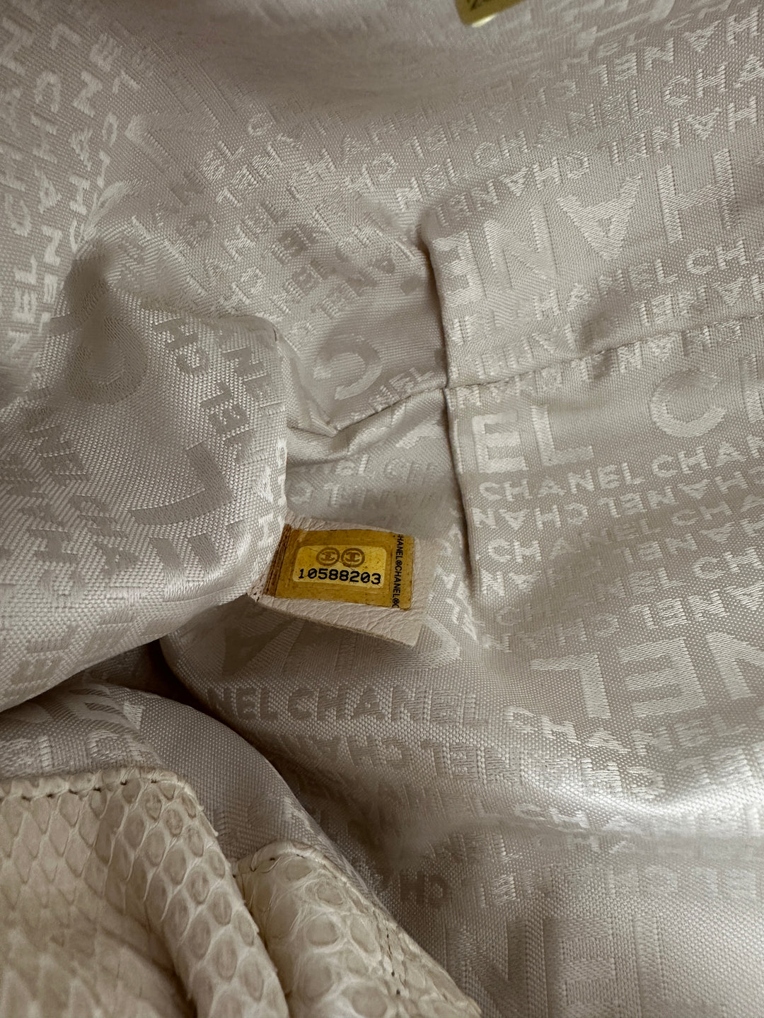 CHANEL Python Yuanbao Hobo 🤍✨ Rare White Edition