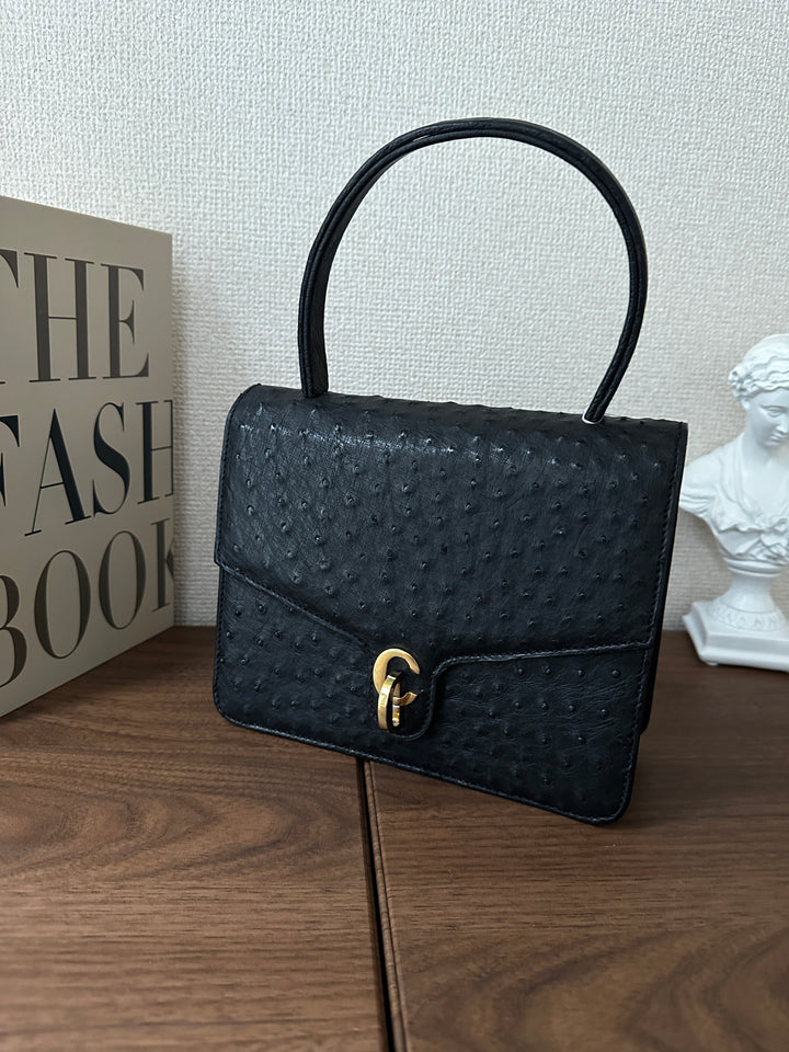 Dior Ostrich Leather Top Handle Bag 🖤✨ Rare CD Clasp
