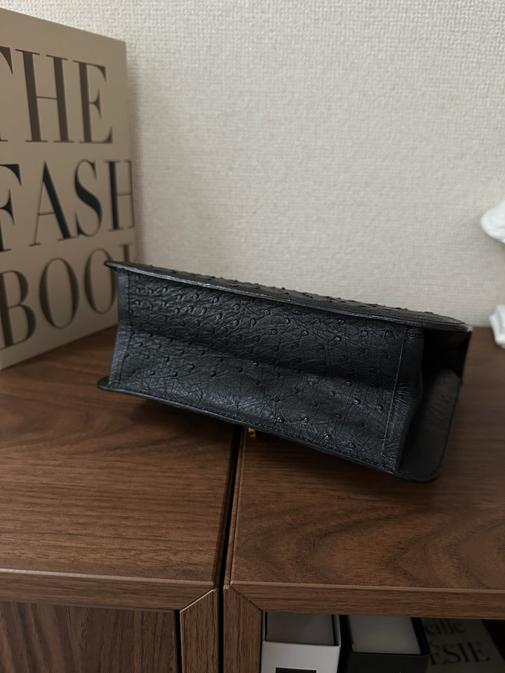 Dior Ostrich Leather Top Handle Bag 🖤✨ Rare CD Clasp