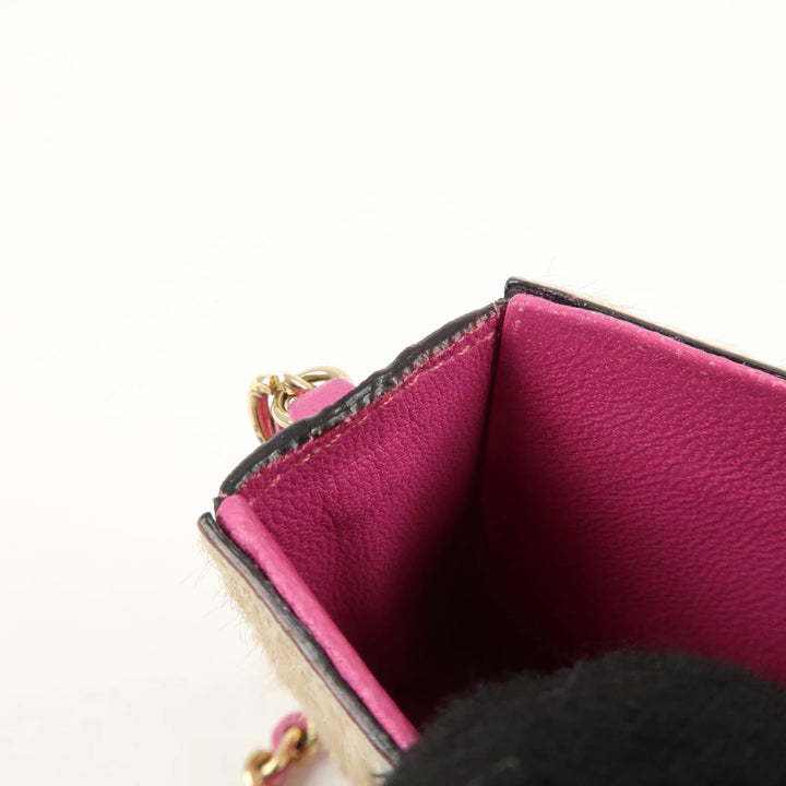 CHANEL Unborn Calf Lamb Skin Chain Shoulder Cigarette Case Used
