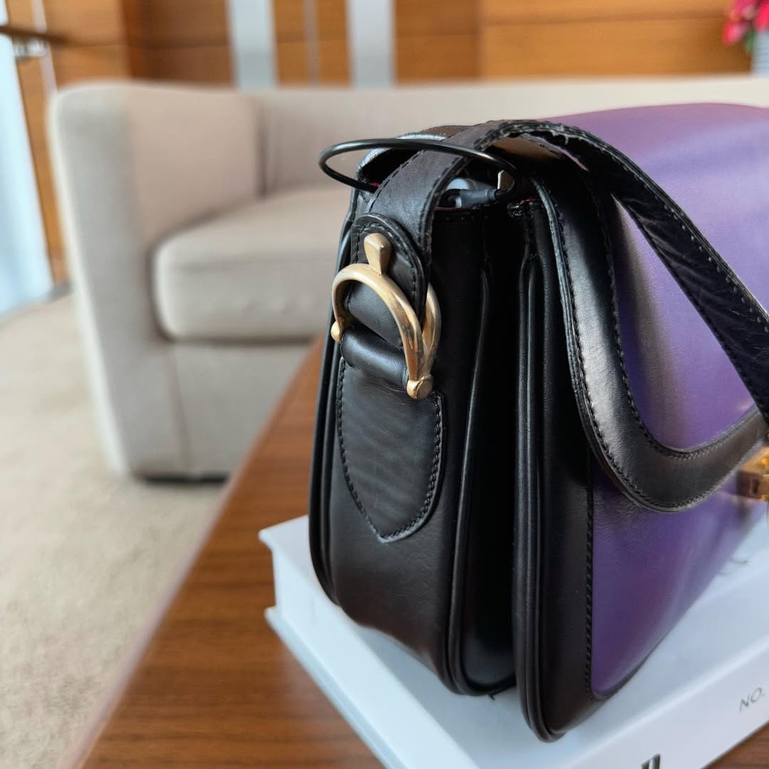 CELINE Purple & Black Bi-Color Horsebit Box Bag｜Rare Crossbody Elegance 💜🦄