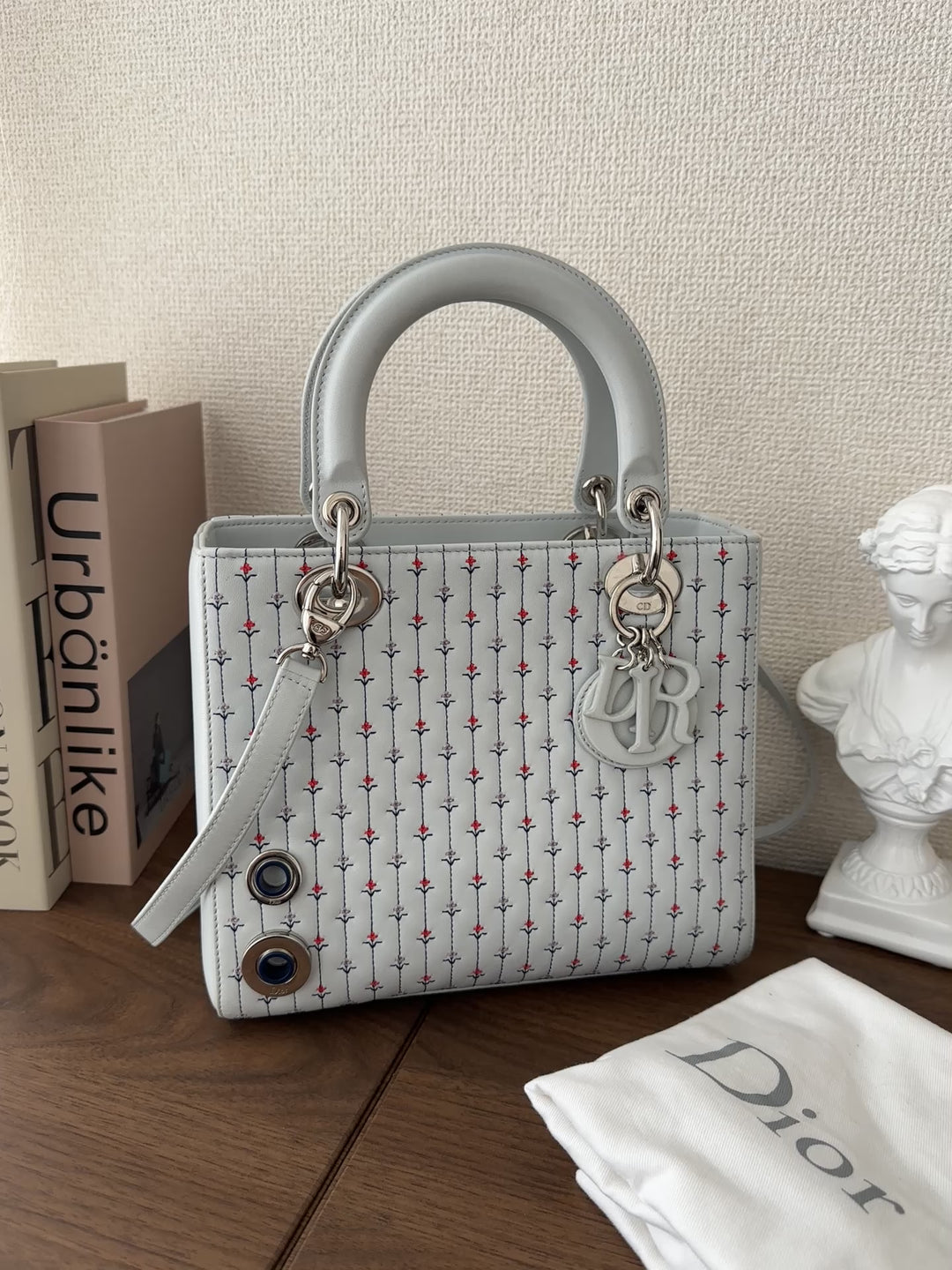 Dior Lady Dior Embroidered Limited Edition – Full Set 🤍✨