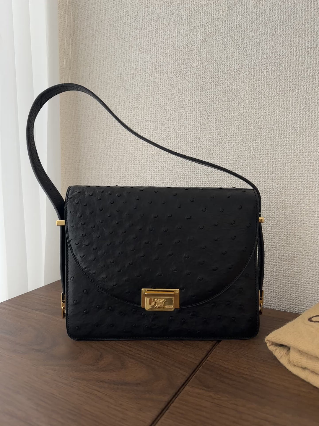 Celine Ostrich Leather Triomphe Envelope Bag 🖤✨ Rare & Collectible