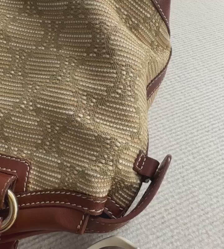 CELINE Raffia Triomphe Handle Bag（Beige × Olive Green）｜Rare Summer-to-Autumn Chic ✨🥐