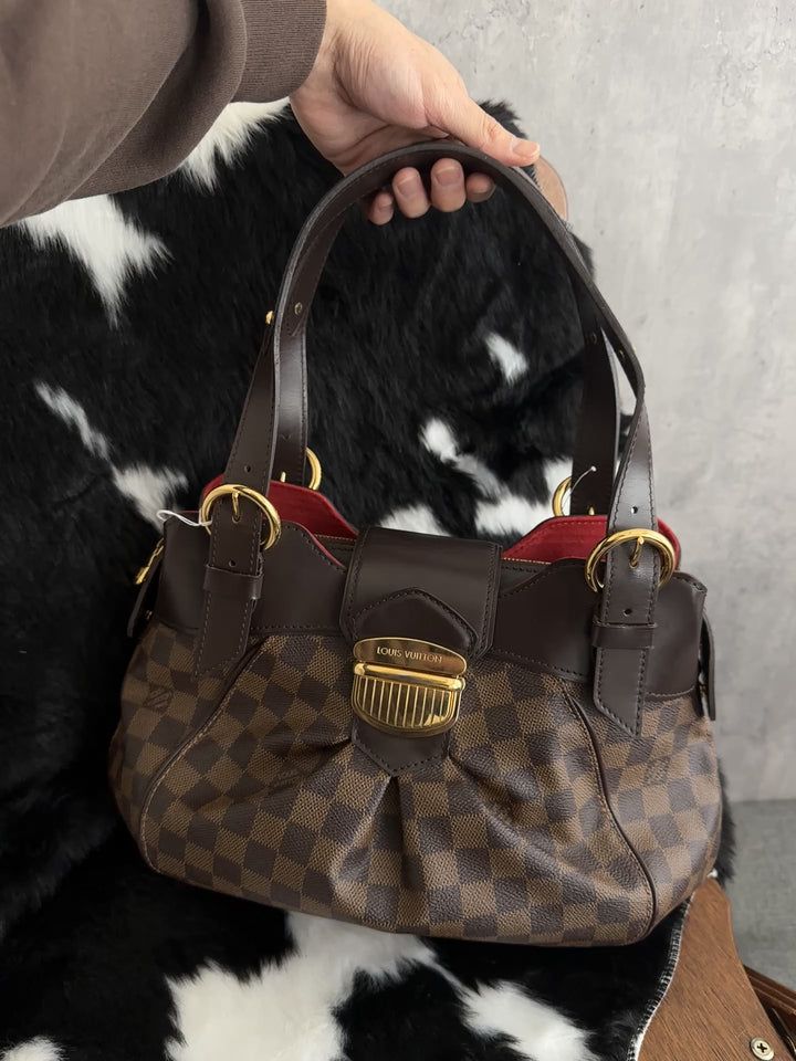 Louis Vuitton Damier Ebene Pleated Shoulder Handbag 🤎｜Classic Checkered Canvas × Gold-Tone Buckle × Red Suede Interior✨