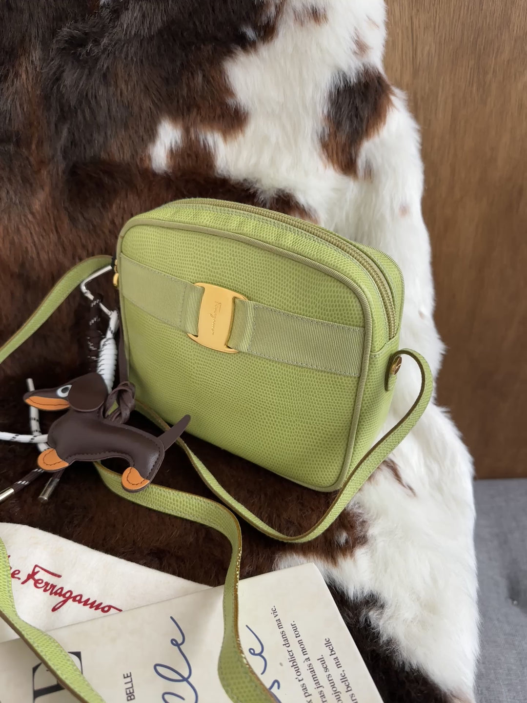 Salvatore Ferragamo Vara Bow Camera Bag 💚｜Lizard-Embossed Texture × Rare Pistachio Green × Full Set Included