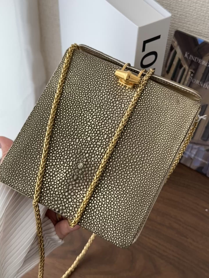 CELINE Golden Stingray Leather Chain Bag｜Collector’s Luxe Treasure ✨🤎