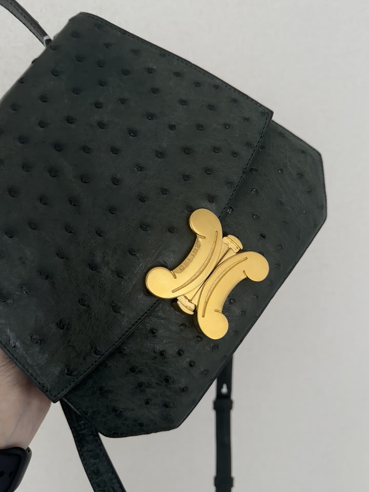 CELINE Rare Vintage Triomphe Ostrich Leather “Bone” Bag 🤎🦤 With Original Strap | Collector’s Piece