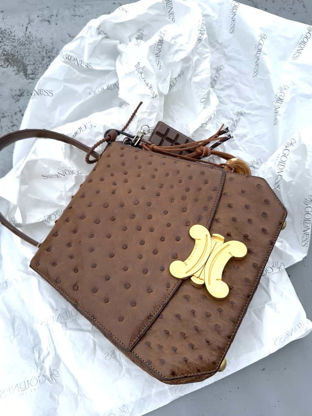CELINE Vintage Triomphe Ostrich Bag – Rare Edition with Oversized "Bone" Charm + Strap