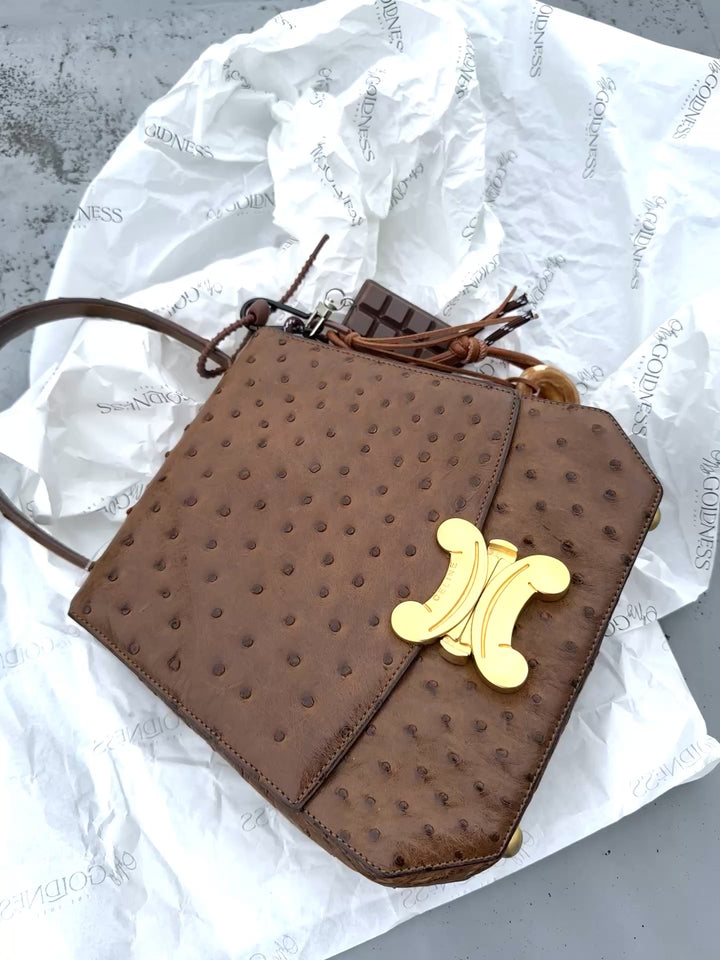 CELINE Vintage Triomphe Ostrich Bag – Rare Edition with Oversized "Bone" Charm + Strap