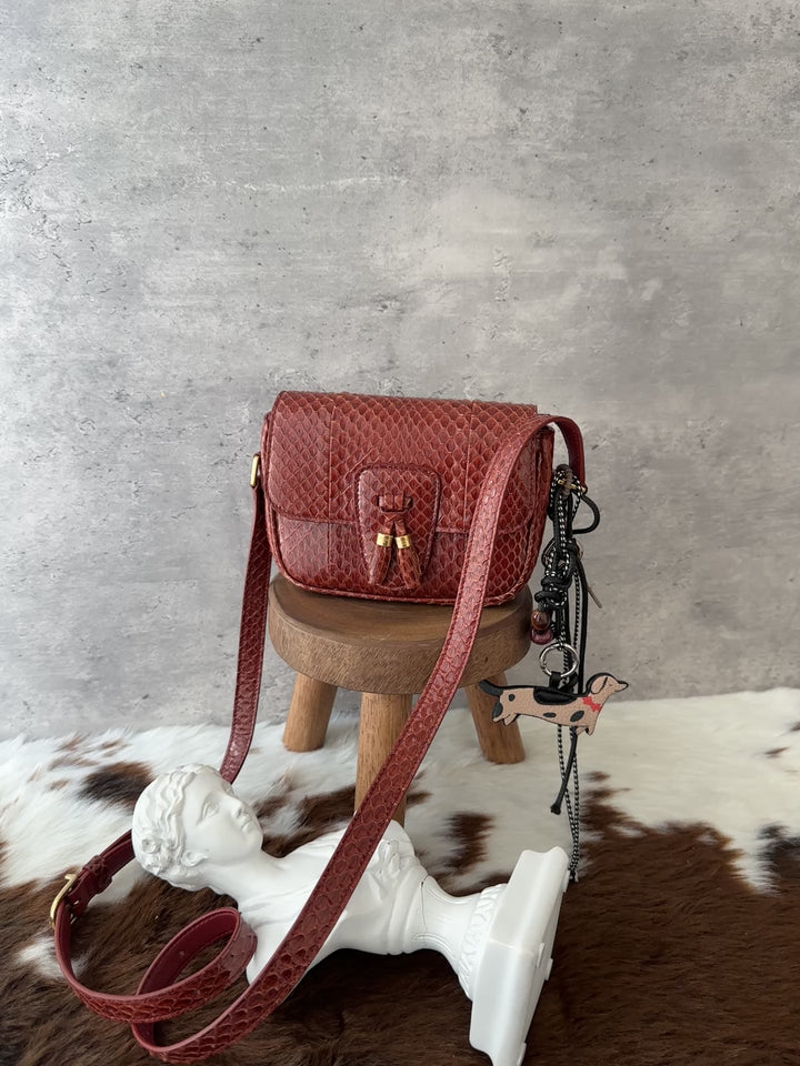 Celine Python Mini Crossbody ❤️✨｜Burgundy Python × Vintage Tassel Detail × Compact Silhouette