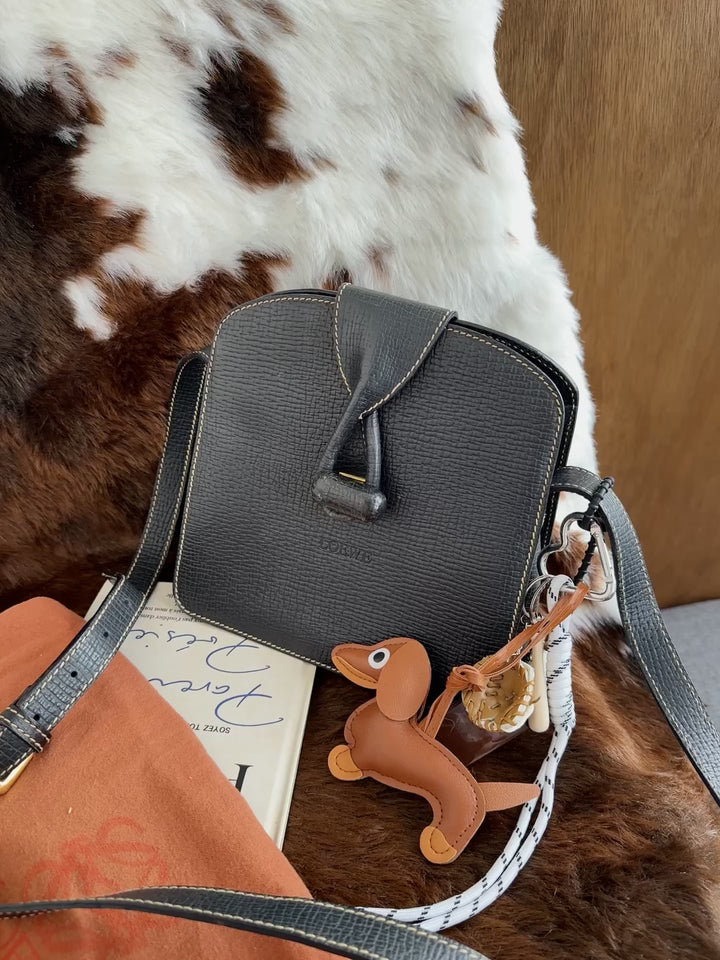 Loewe Leaf Turnlock Mini Box Bag 🖤😻｜Leaf Turnlock Detail × Mini Box Shape × Crossbody Ready