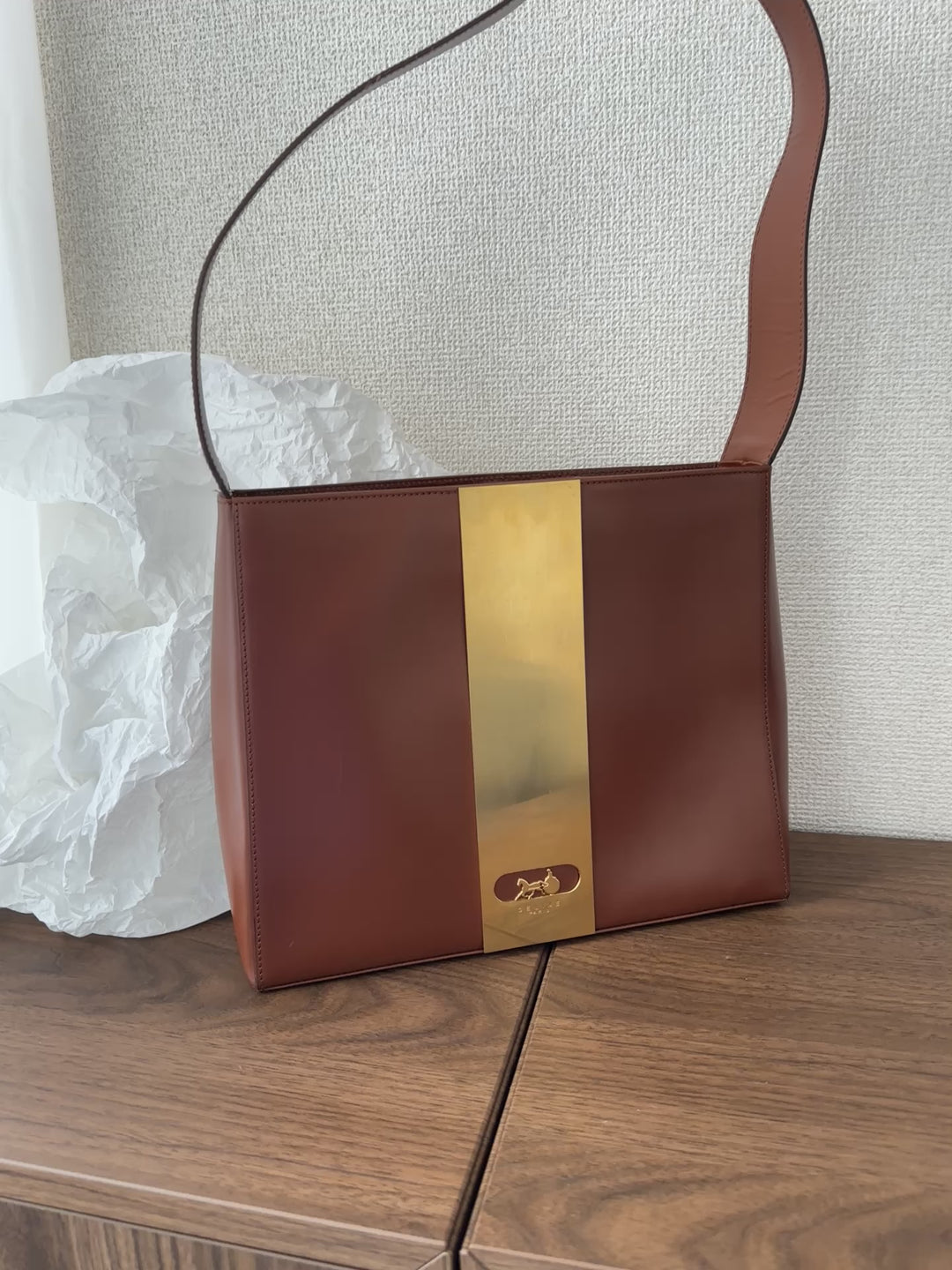 Celine Vintage Carriage Hobo 🤎 | The Epitome of Vintage Elegance✨