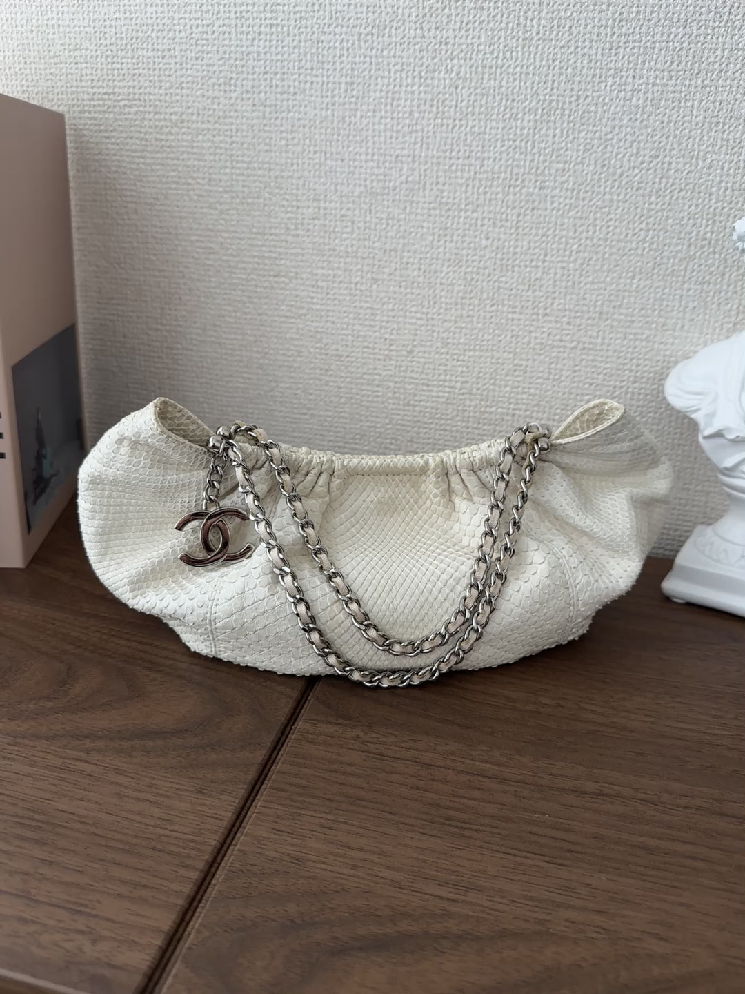 CHANEL Python Yuanbao Hobo 🤍✨ Rare White Edition