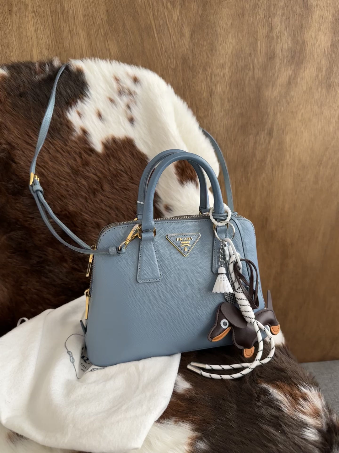 Prada Small Alma Bag 🩵😻 (Full Set)