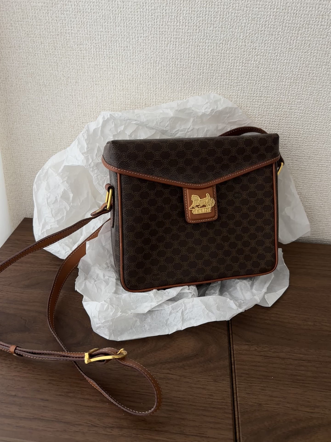Celine Carriage Monogram Mini Box Bag 🤎✨ Rare & Collectible