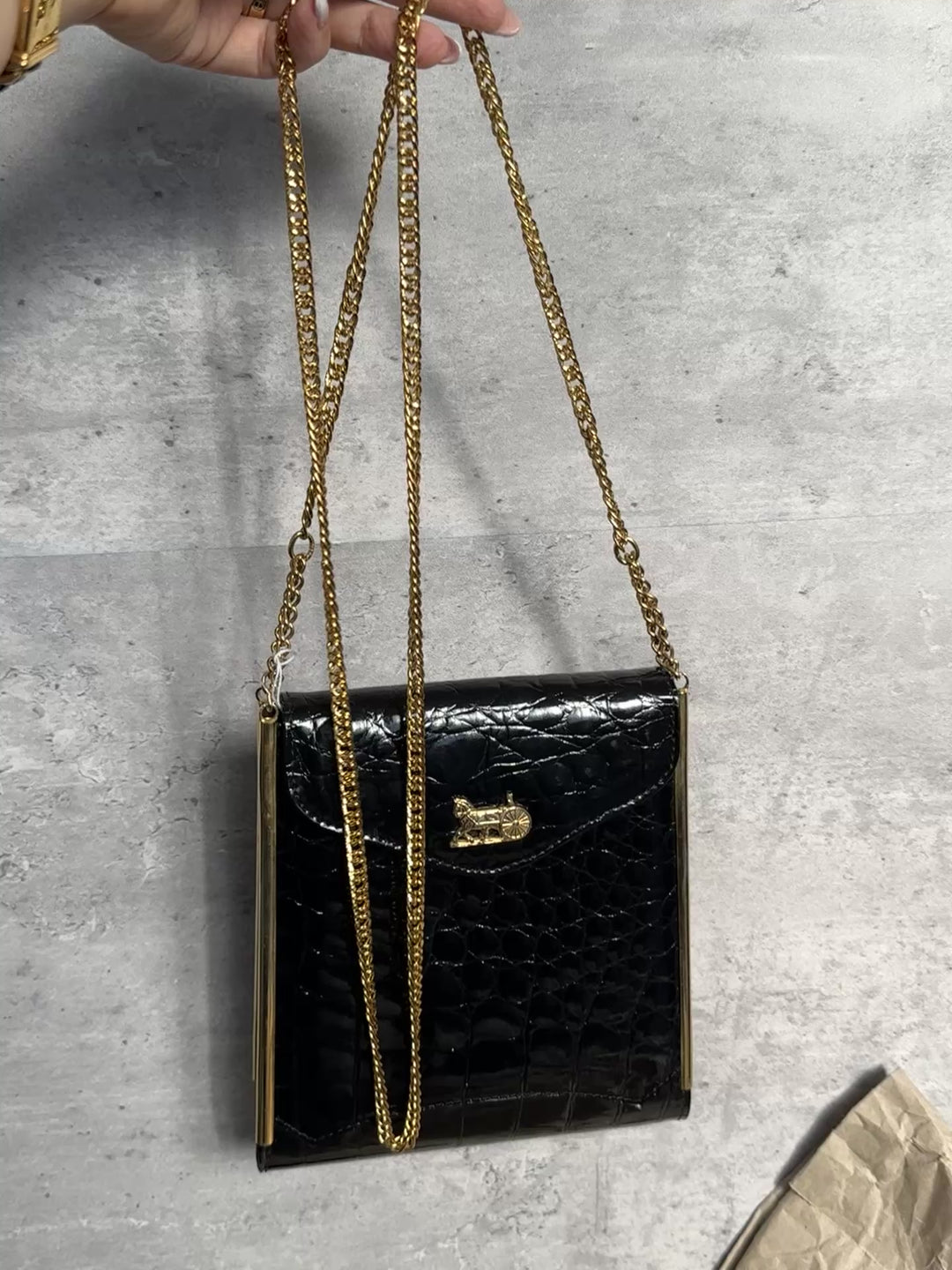 CELINE Crocodile Leather Horse Carriage Chain Bag ✨｜Rare, Elegant & Collectible Icon