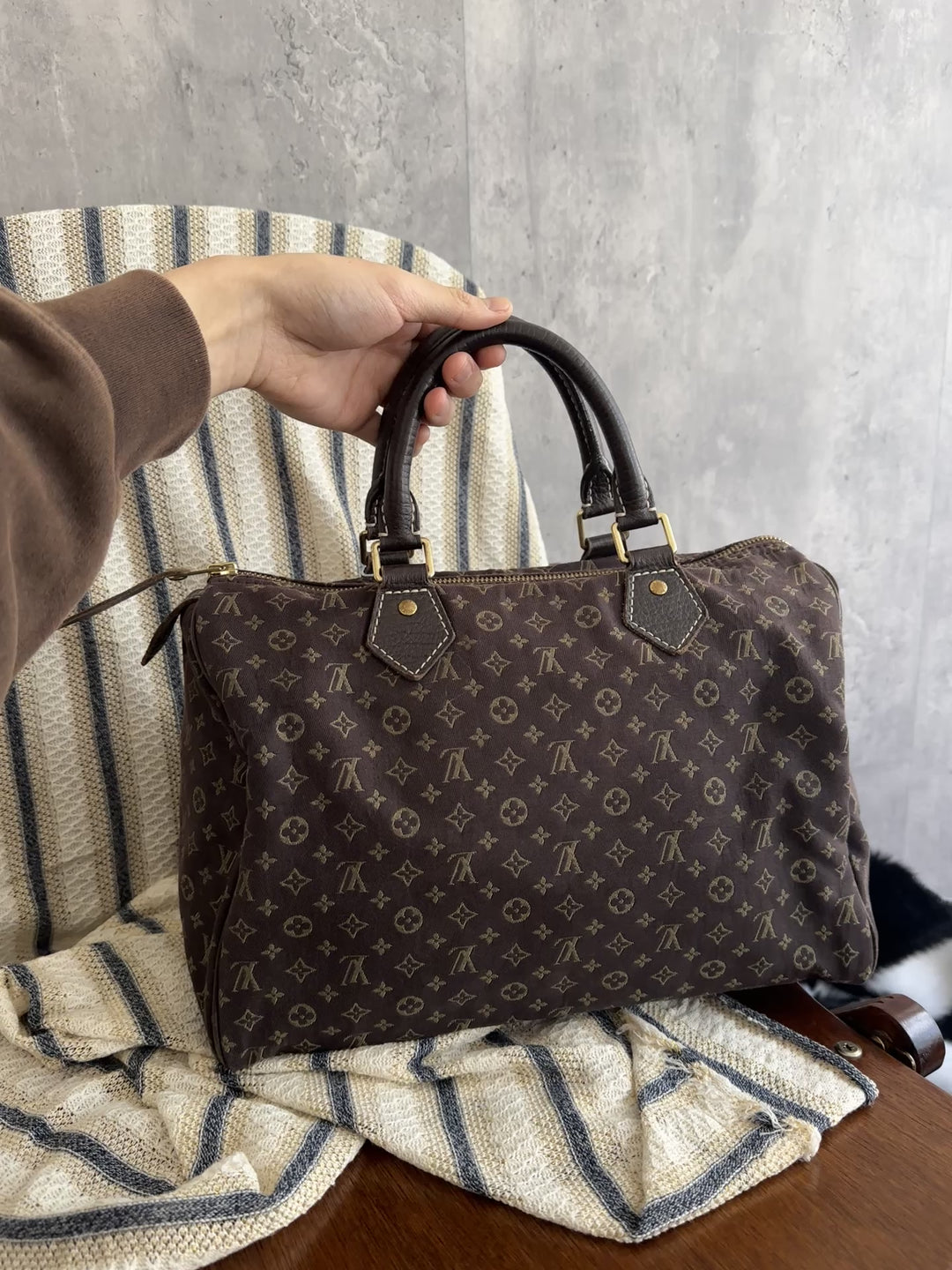 Louis Vuitton Monogram Speedy 30 – Lightweight Canvas