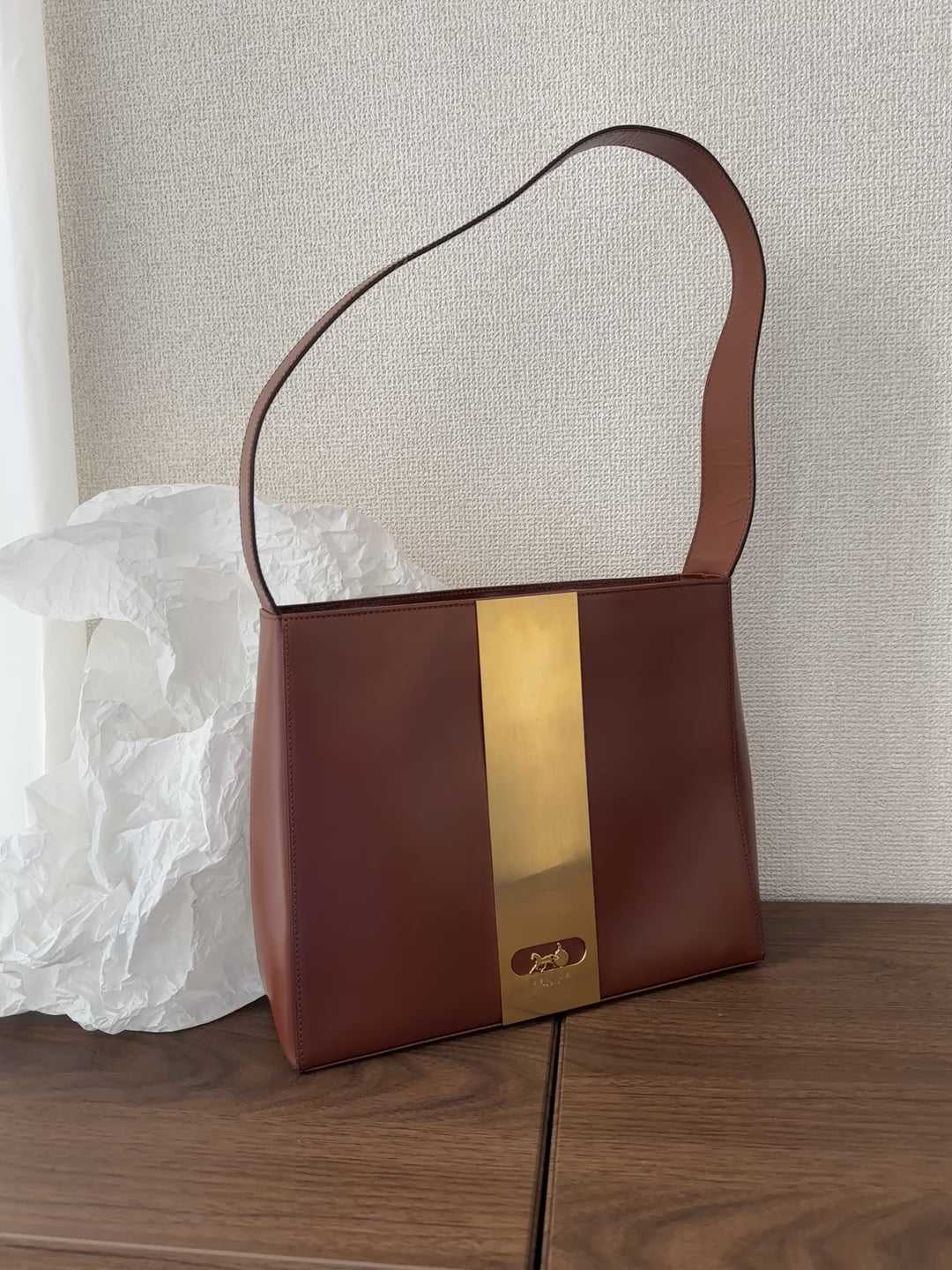 Celine Vintage Carriage Hobo 🤎 | The Epitome of Vintage Elegance✨