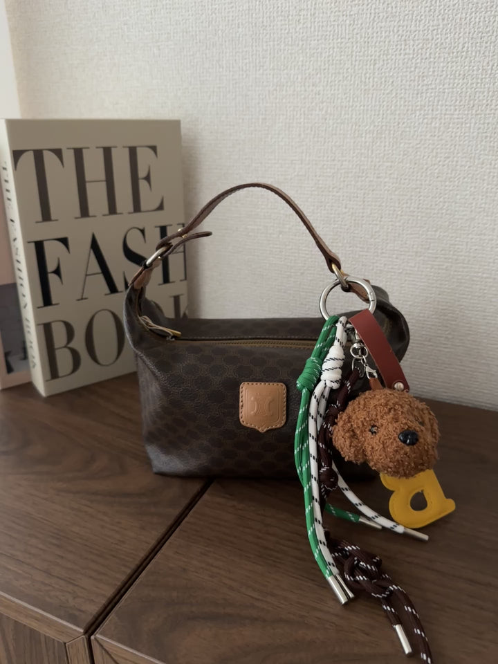 CELINE Triomphe Monogram Mini Hobo 🤎✨ Rare Vintage Find