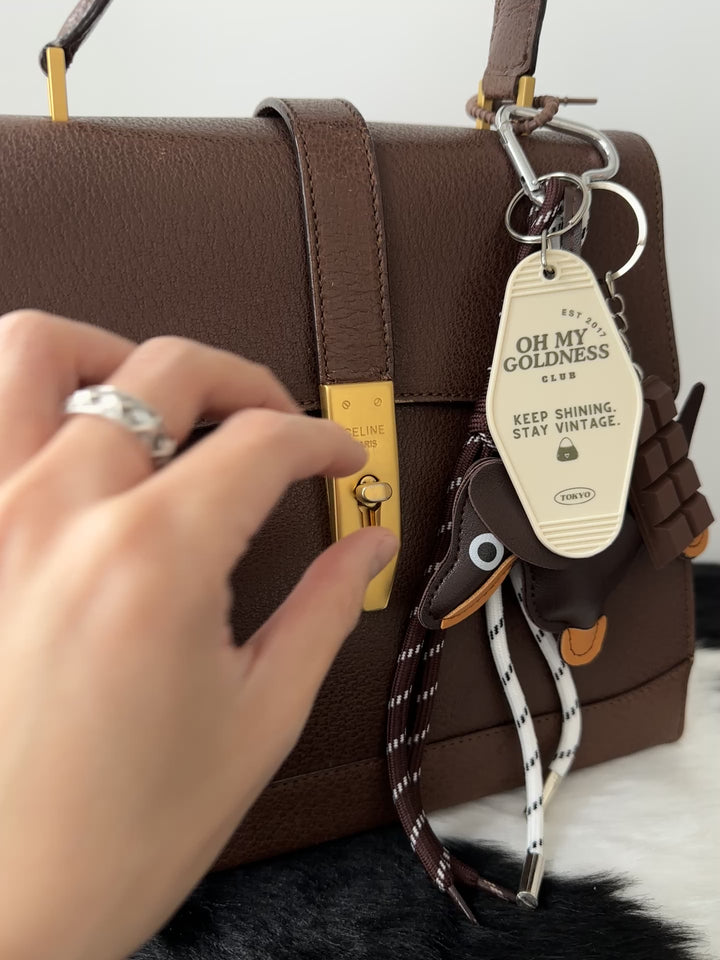 CELINE 🤎 Chocolate Pigskin Kelly Bag｜Rare Material × Structured Elegance × Everyday Durability