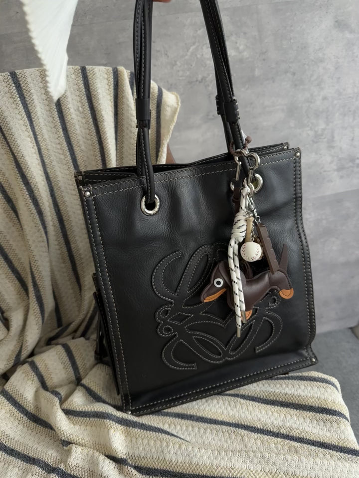 Loewe Double-Faced Shoulder Bag 🖤✨